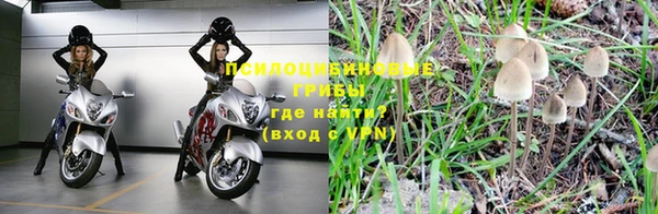 синтетический гашиш Ладушкин