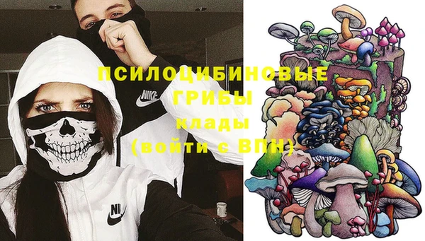 соль ск Лабытнанги