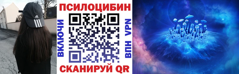 Купить где  Звенигород  Псилоцибиновые грибы MAGIC MUSHROOMS 