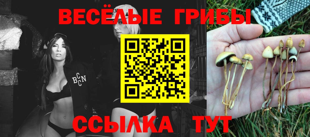 Галлюциногенные грибы мухоморы Звенигород