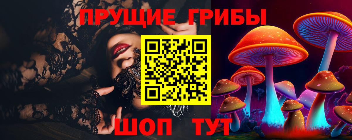 Псилоцибиновые грибы Psilocybe  Звенигород 